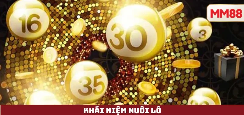 Khái niệm Nuôi Lô